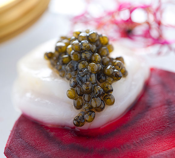 Scallop Carpaccio with Caviar and Raw Beet